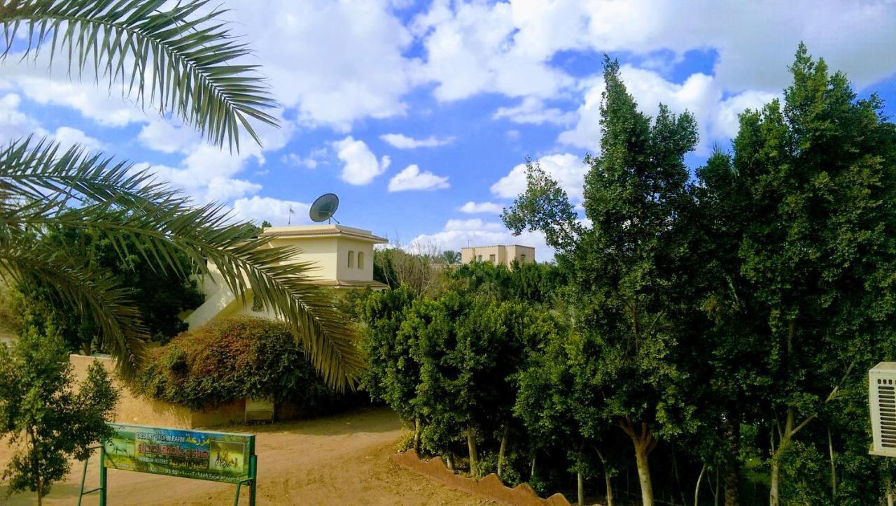 The Farm - Hotel & Horse Riding Cairo Exterior foto