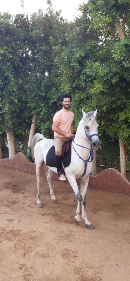 The Farm - Hotel & Horse Riding Cairo Exterior foto