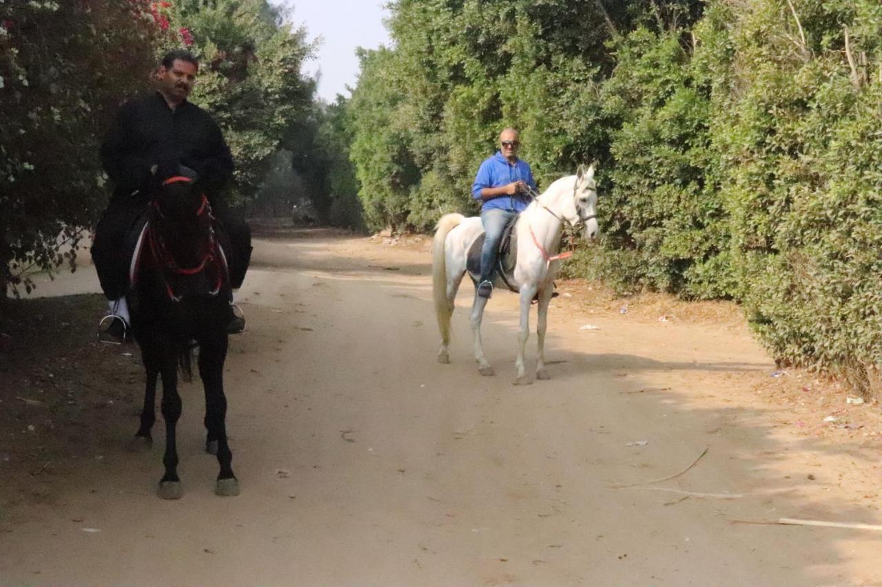 The Farm - Hotel & Horse Riding Cairo Exterior foto