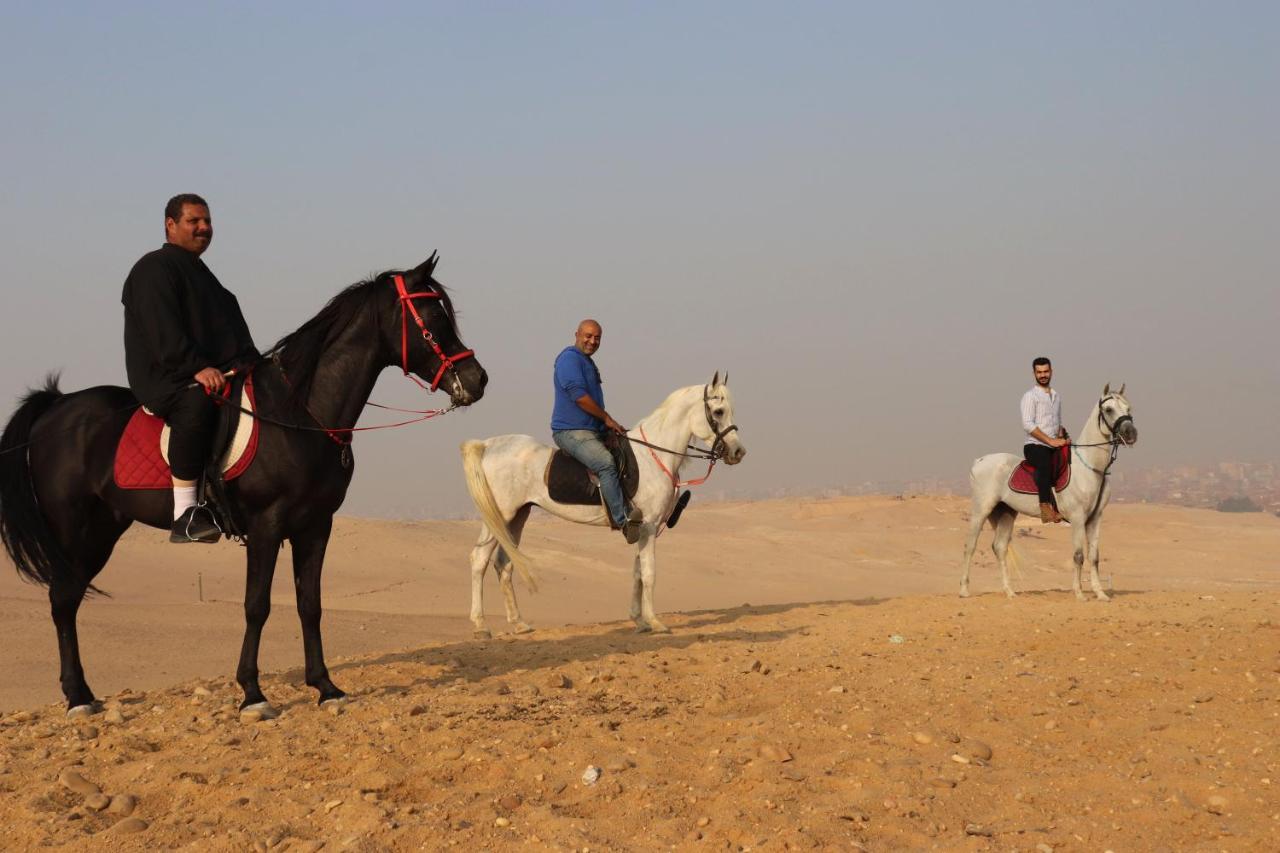 The Farm - Hotel & Horse Riding Cairo Exterior foto