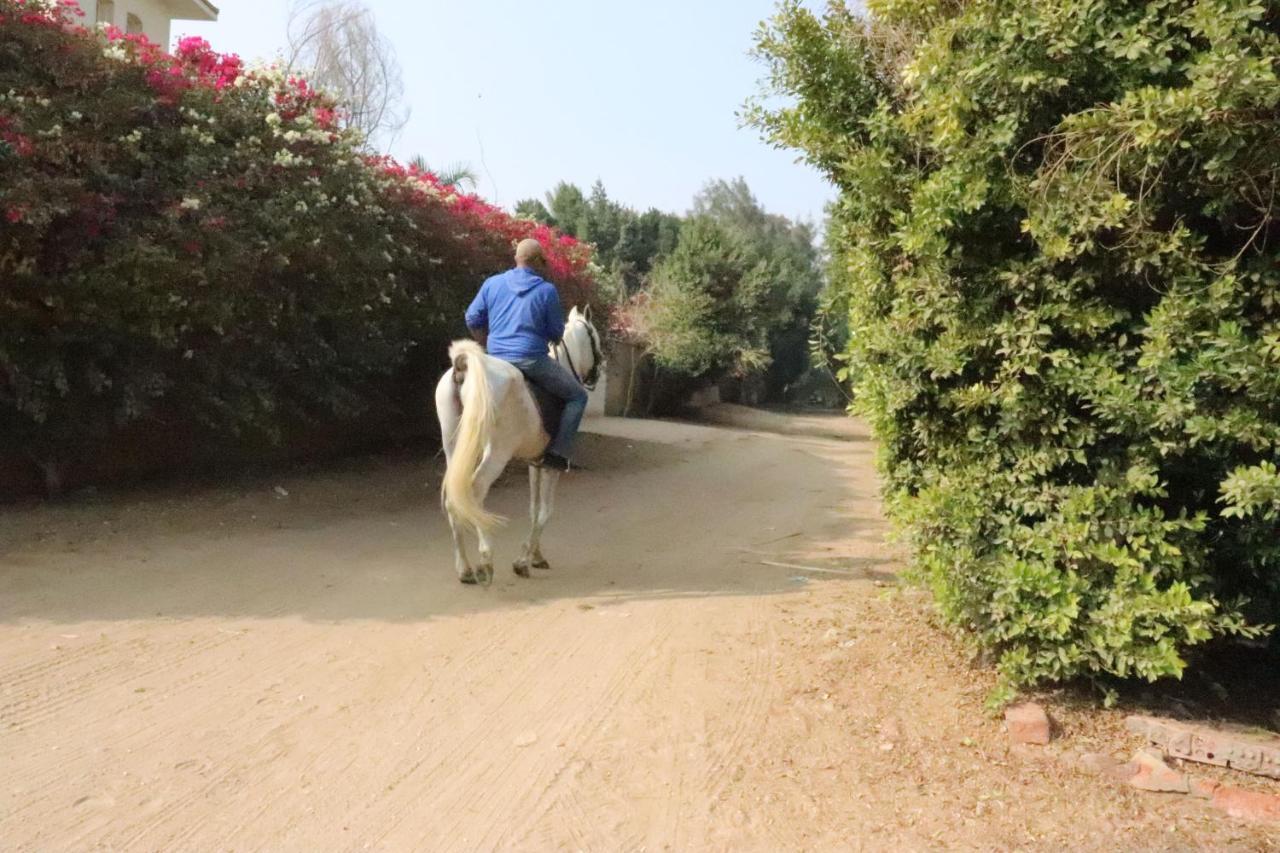 The Farm - Hotel & Horse Riding Cairo Exterior foto