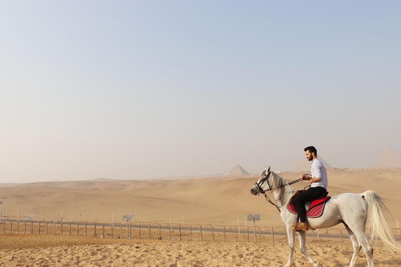 The Farm - Hotel & Horse Riding Cairo Exterior foto